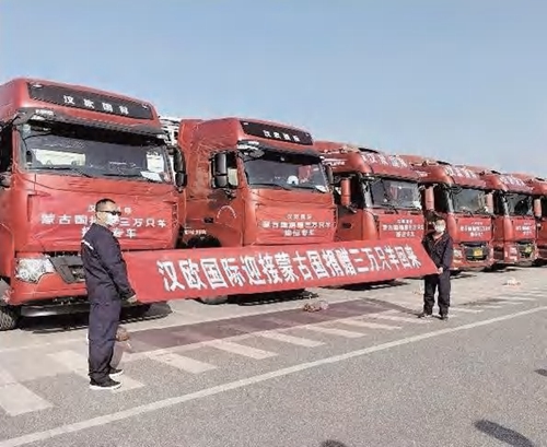 P020220629334421369335