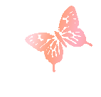 首页|壹号娱乐 - 相信品牌的实力