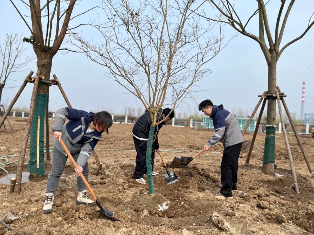 首页|壹号娱乐 - 相信品牌的实力