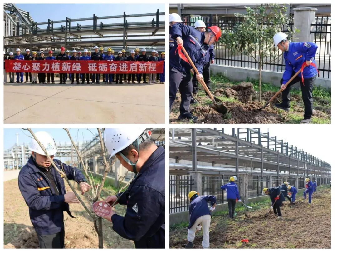 首页|壹号娱乐 - 相信品牌的实力